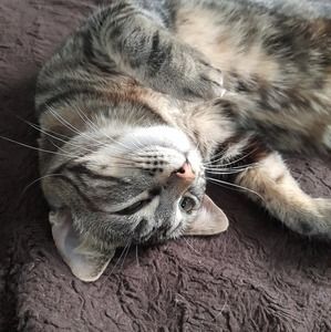 Meet your Posher, Christopher